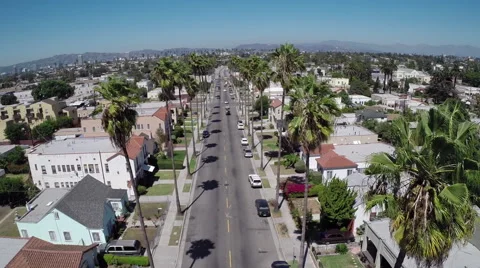 Aerial Shot of Palm Trees Stock Footage 49751178