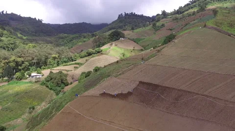 Aerial Shot of Panama Farms Stock Footage 59711217