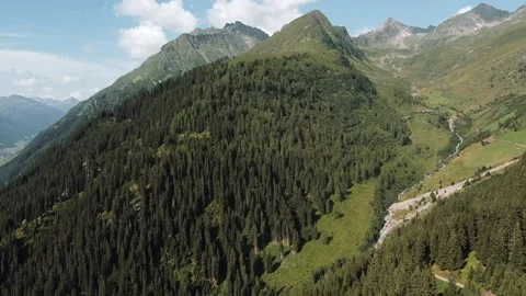 Aerial shot of panoramic view of pine trees of Alps green forest on the mountain 库存影片 145159243
