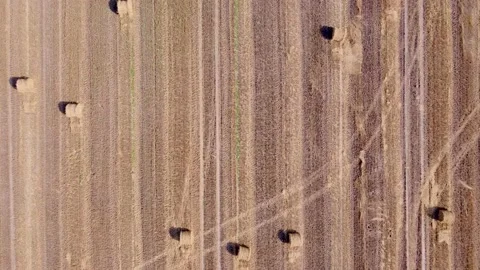 Aerial shot passing a harvested field with straw bales. Stock Footage 142007553