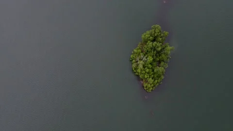Aerial shot passing tiny island in the lake Stock Footage 168888161