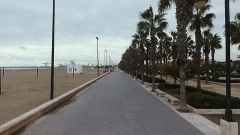 Aerial Shot of Path full of Palms, next to the beach in Valencia, Spain. 動画素材 150800024