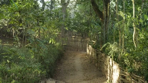 Aerial shot of a path surrounded by forest in a typical village, in Ethiopia Stock Footage 230636349
