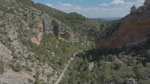 Aerial shot of a path through the forests and cliffs of Mallorca, Spain Stock Footage 288438706