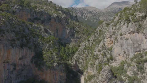 Aerial shot of a path through the forests and cliffs of Mallorca, Spain Stock Footage 288438715