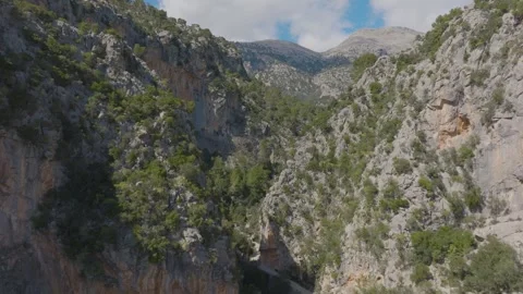 Aerial shot of a path through the forests and cliffs of Mallorca, Spain Stock Footage 288438757
