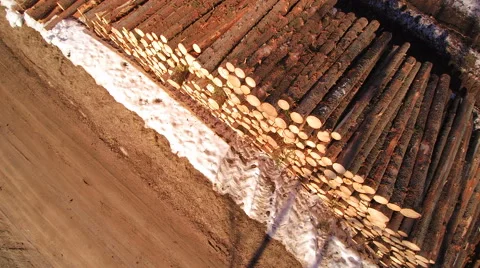 Aerial shot of the piled logs on the ground Stock Footage 63158099