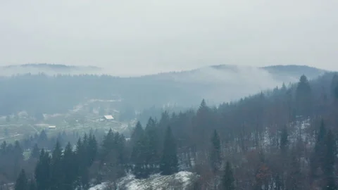 Aerial shot of a pine forest with snow at dusk in winter, in Slovenia Stock Footage 226330734