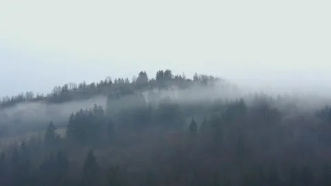 Aerial shot of a pine forest under the rain in the mist in winter, in Slovenia Stock Footage 226664212