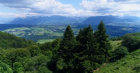 Aerial shot of pine trees with countryside and mountains Stock Footage 80469207
