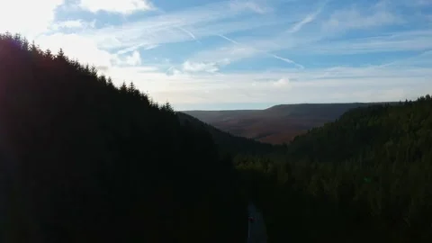 Aerial shot of Pine trees, Derwent valley - PT-2 Stock Footage 139962909