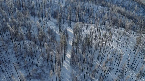 Aerial shot pointed down flying over snowy forest. Road/trail below. Video stock 103065985