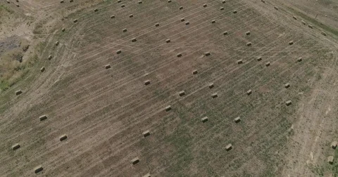 Aerial Shot - Pull back revealing of a huge green field with a lot of hay bales Stock Footage 78207475