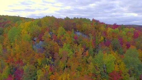 Aerial shot pulling away from the forest in autumn Stock Footage