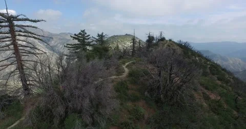 Aerial shot pushing through forested mountain range Video stock 57935358