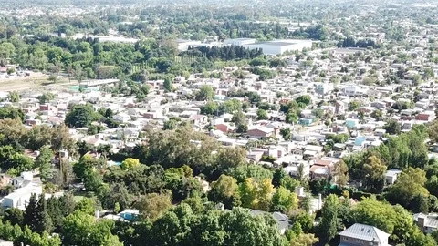 Aerial shot of quiet neighborhood with tree grove on sunny day Stock Footage