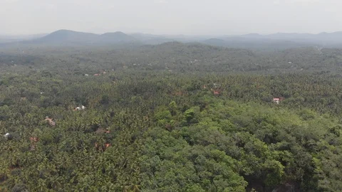 Aerial Shot of rain forest Stock Footage 111148425