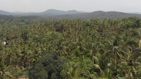 Aerial Shot of rain forest Stock Footage 111148707