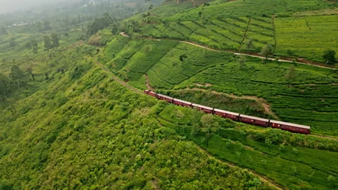 Aerial shot of red train snaking through green tea plantations in Sri Lanka Stock Footage 274443375