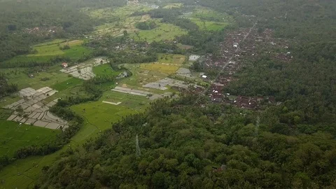 Aerial shot of rice fields in a mountain valley, Bukit Putung,Bali,Indonesia Stock Footage 92791177