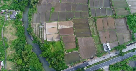 Aerial shot of rice fields next to the Tukad Petanu river Stock Footage 76973648