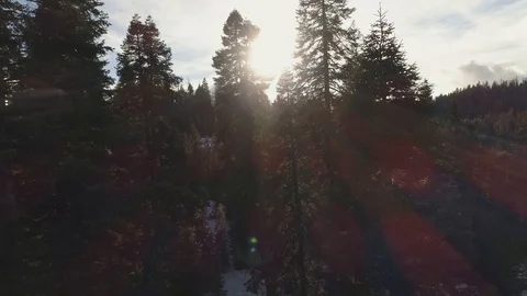 Aerial shot rises through trees in a snowy terrain with lens flare and clouds. Video stock 128528909