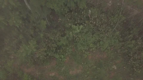 Aerial shot rising from ground level up to the clouds in rural Nepal. Stock Footage 113604244