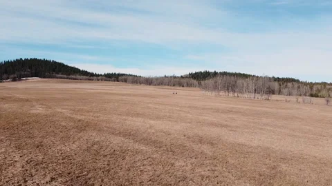 Aerial Shot Rising Up Over Rolling Hills Stock Footage 131284560
