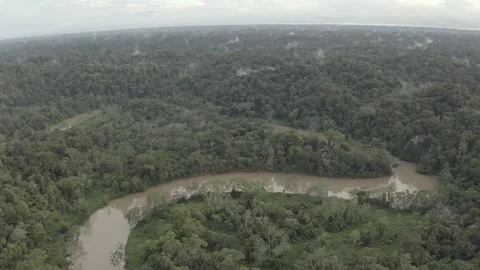 Aerial shot of a river in the amazon Stock Footage 312218973