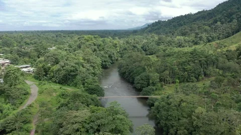 Aerial shot of a river in the Amazon with a small village (Ecuador) Stock Footage 312218809