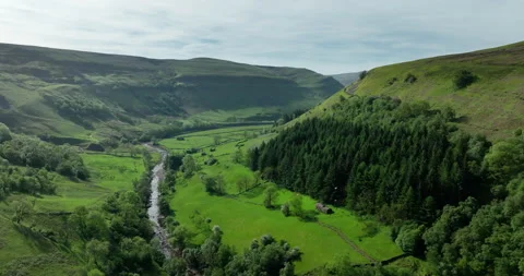 Aerial shot of river and forest in green valley Stock Footage 336937959