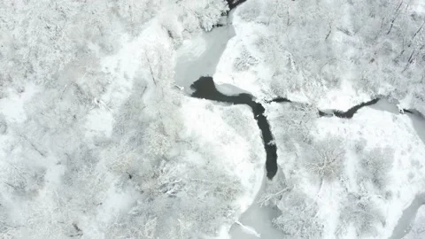 Aerial shot: River In The Deciduous Forest With Snow Covered Trees. Stock Footage 167546333