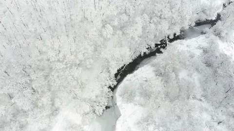 Aerial shot: River In The Deciduous Forest With Snow Covered Trees. Stock Footage 167546365
