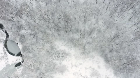 Aerial shot: River In The Deciduous Forest With Snow Covered Trees. Stock Footage 167546378