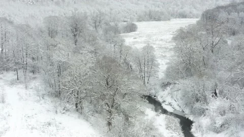 Aerial shot: River In The Deciduous Forest With Snow Covered Trees. Stock Footage 167546382