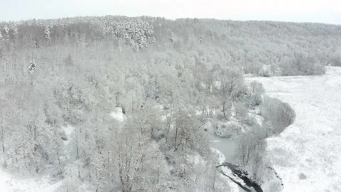 Aerial shot: River In The Deciduous Forest With Snow Covered Trees. Stock Footage 167546383