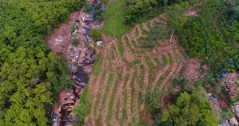 Aerial shot of river with fields and house along it, tropical forest around Stock Footage 92349196