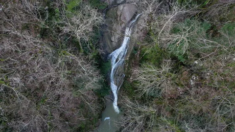 Aerial shot of a river flowing through a bare forest Stock Footage 232393373