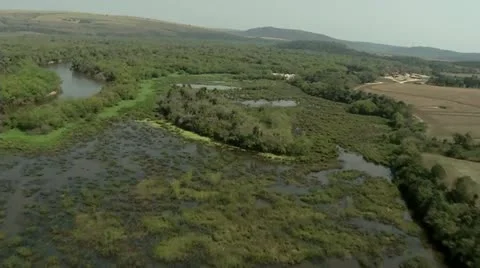 Aerial Shot Of A River Stock Footage 12112113