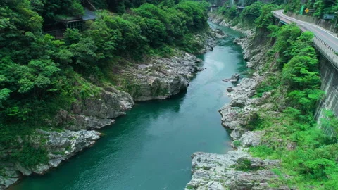 Aerial shot of river Stock Footage 162211808
