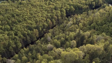 Aerial Shot Of River In Forest Stock Footage