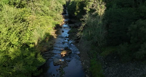 Aerial shot of a river in the forest Stock Footage 220085660
