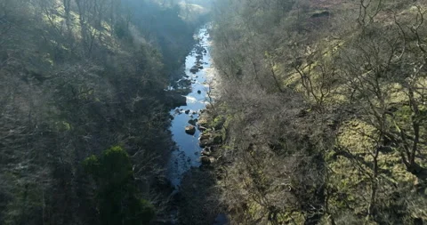 Aerial shot of a river in the forest Stock Footage 307075297