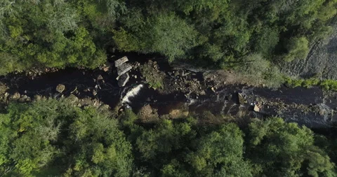 Aerial shot of a river going through a forest Video stock 143222927