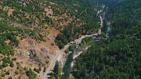 Aerial shot of river running trough the forrest Vidéo 79579196