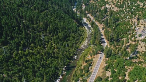 Aerial shot of river running trough the forrest Stock Footage 79581901