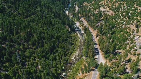 Aerial shot of river running trough the forrest Stock Footage 79582170