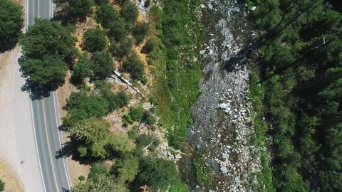 Aerial shot of river running trough the forrest Vidéo 79582273
