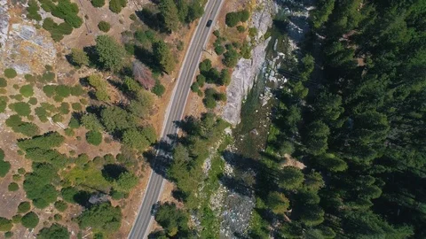 Aerial shot of river running trough the forrest Stock-Footage 79582330