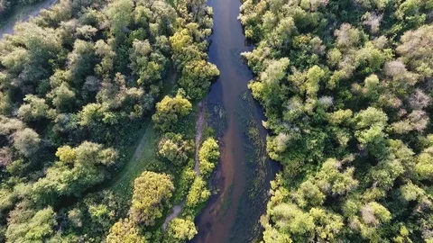 Aerial shot River at sunset Stock Footage 70357983